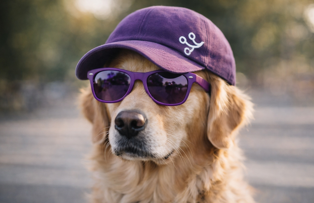 Sisältökalenteri opas