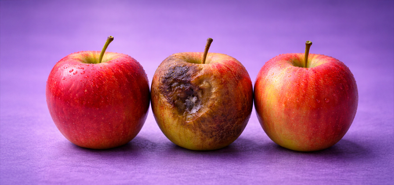 AI-auditointi ja kehitys